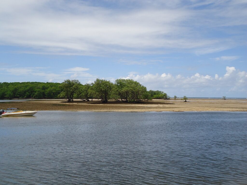 cowpea, bahia, sea